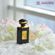 imageUrl_6