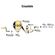 imageUrl_6