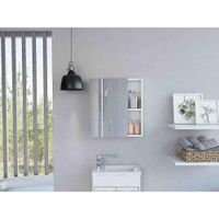 Gabinete Mueble de Baño Amaya Blanco 1 Puerta y Espejo R&R MUEBLES