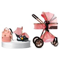 Coche Moisés de Lujo Ebaby Gold Labell Con Portabebé Rosa