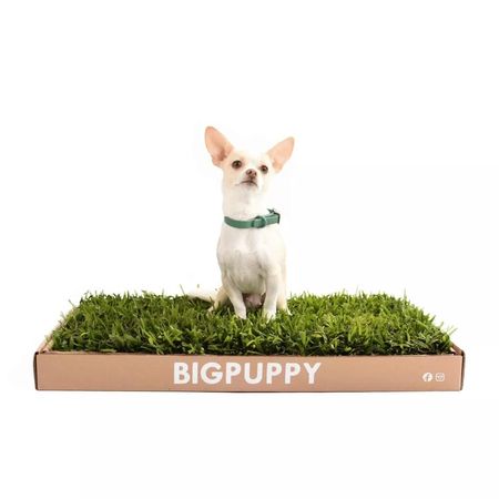 image-d22b130518814e2a96a61502643733c0