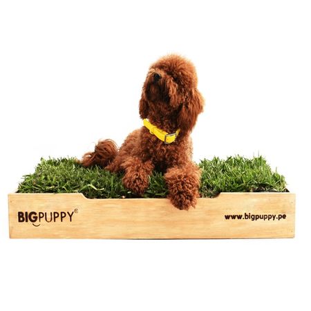 image-db8d3c4b22a445f5aca07f21250e0a79