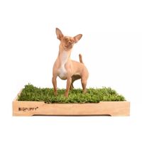 Sanitario Natural Big Puppy premium M