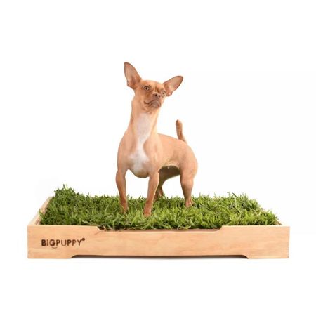 image-955eaf024003445fbd4c98d54f353b24