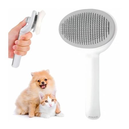 image-8b6359bae31f41a9a91cc51b8eedf3c9