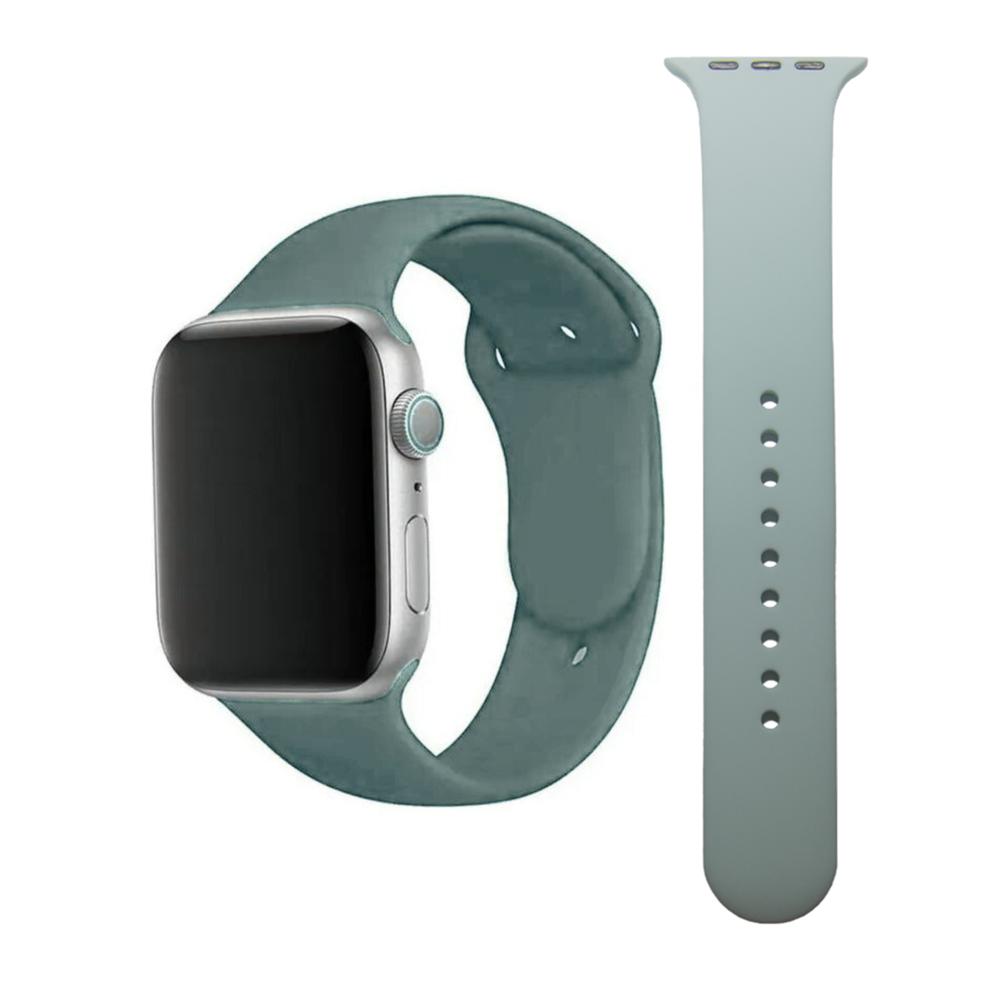 Accesorio Correa Unisex Crs01 Smart Time -1020256