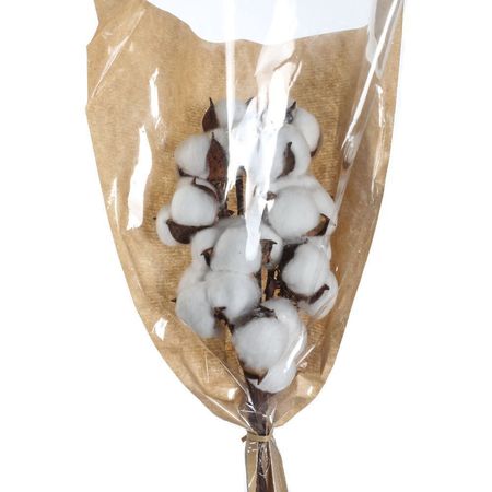 Ramo Algodón 45 cm
