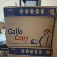 Papel Bond GALLOCOPY 80GR 500H - Caja de 5 millares