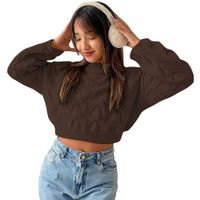 Chompa Mujer Hilo Clasico 359G-23 Color Marron