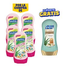 pack-acondicionador-savital-con-multivitaminas-y-sabila-frasco-490ml-x-5un-acondicionador-savital-aminoacidos-490ml