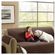 imageUrl_2