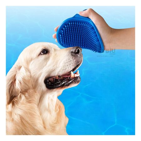 Peine Redondo para Mano Util en Celeste Y+Papel de Regalo