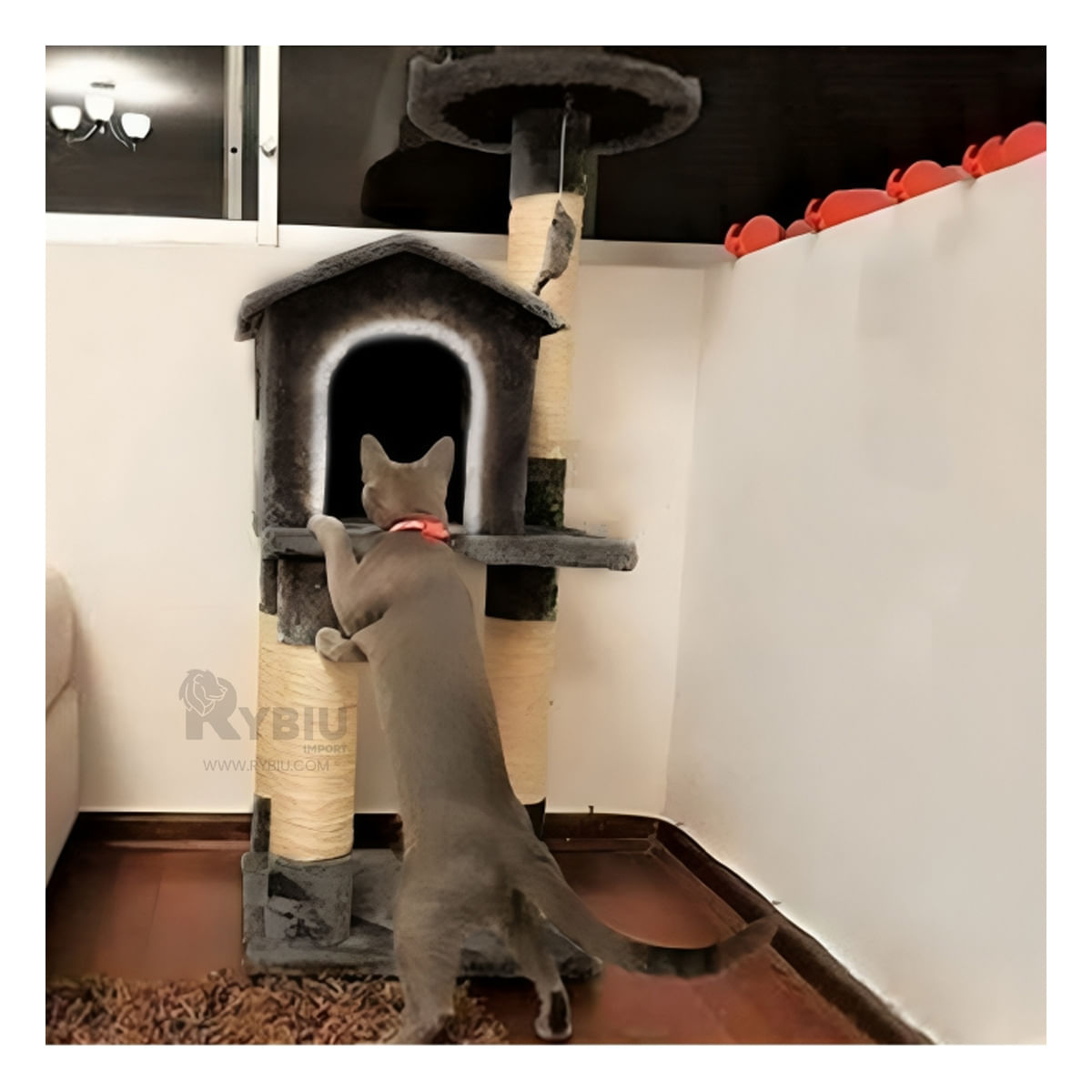 Gym Resistente Cat 3 para Piso Tono Negro Y+Papel de Regalo