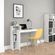 imageUrl_2