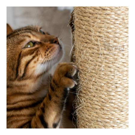 Gym Compacto Multinivel de Color Plomo Y+Papel de Regalo