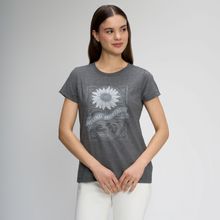 image-5ef82353272c4d2e94059be80d71acea