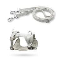 Correa y Pechera Ajustable Para Perros Gris - Talla S
