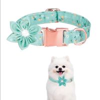 Collar Floral Para Mascotas Verde Claro - Talla S