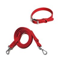 Correa y Collar PVC Impermeable Para Perros Rojo - Talla S