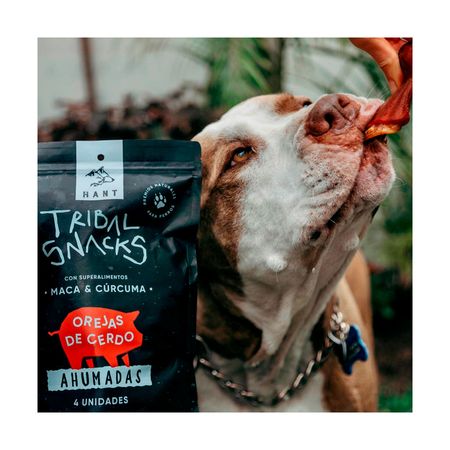 image-86a07c0d9e4f46b7b4d79e92e88c4f6d