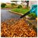 imageUrl_7