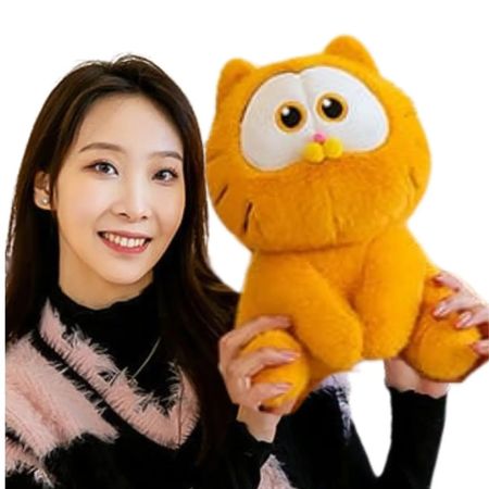 Peluche Garfield Bebe mportado - Mide 34 cm alto