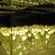 imageUrl_5