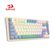 imageUrl_2