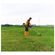 imageUrl_4