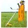 imageUrl_6