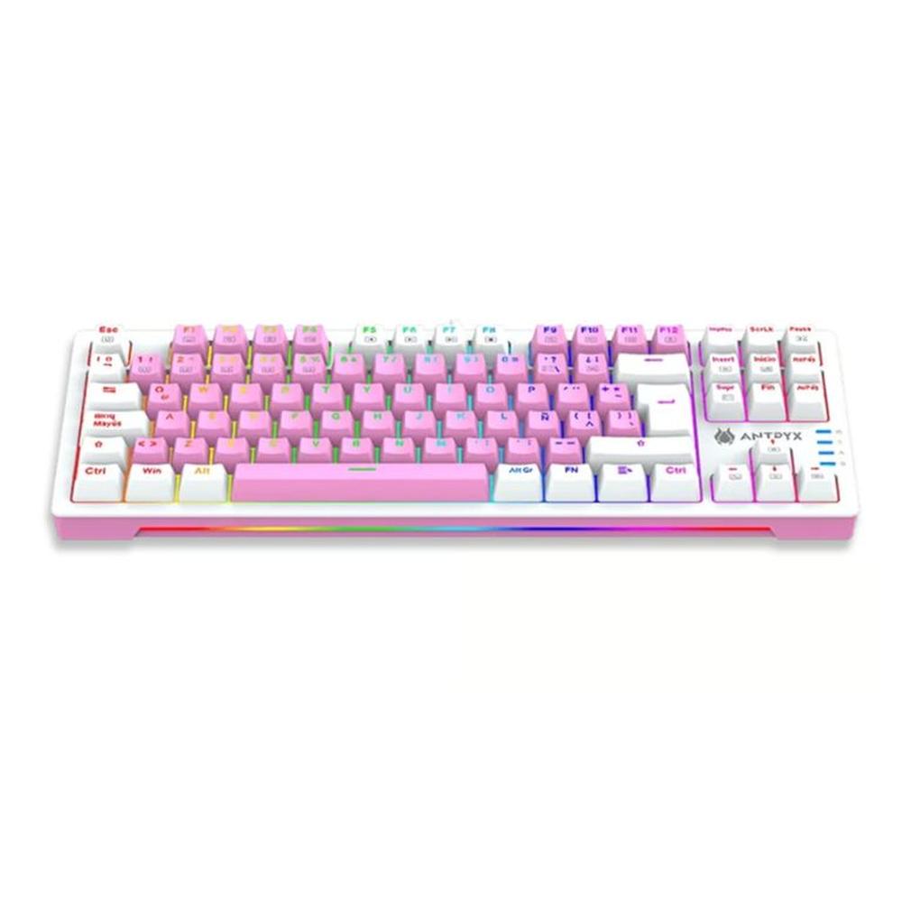 Teclado Mecanico TKL Antryx Chrome Storm MK840 Pink Blue Switch