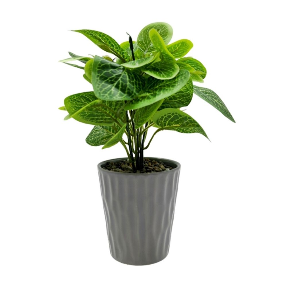 Planta Artificial Orange LIMITED con Maceta de Cerámica Gris