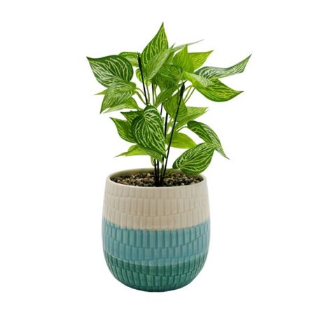 image-9141c9ee93734c959ae16674c95fc59f