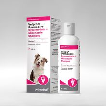 image-1804ec5f2e934cbcb67cb1aab3bba6a7