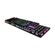 imageUrl_5