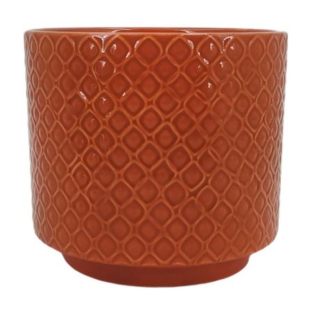 image-7e1e3040e761450995b73946d678c9cd