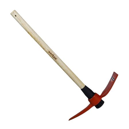 image-463cb0a54d014263a4e15a73cf52f519