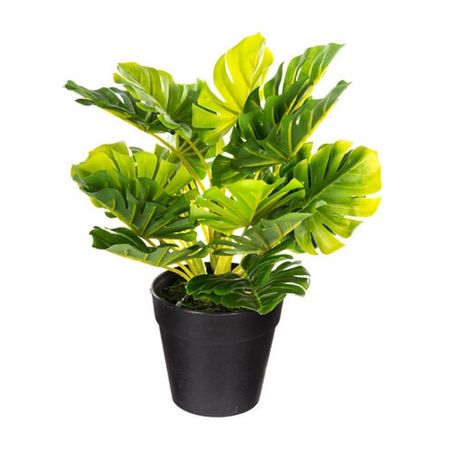 image-b121cda83db64553a9a96c07cce39569