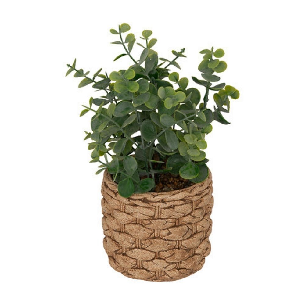 Planta Artificial Eucalipto Jaye Altura 27cm con maceta Atmosphera