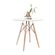 imageUrl_2