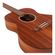 imageUrl_6
