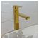 imageUrl_5