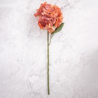 Pack de 2 Hortensias en Vara Naranja Panorama Hogar