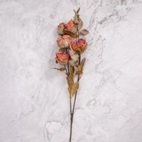 Rosa en Vara en Pack de 2 Naranja Panorama Hogar