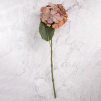 Pack de 2 Hortensias en Vara Marrón Panorama Hogar