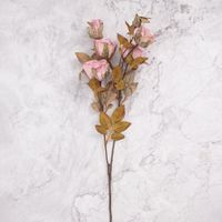 Rosa en Vara en Pack de 2 Rosa Panorama Hogar
