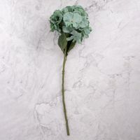 Pack de 2 Hortensias en Vara Verde Panorama Hogar