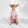 imageUrl_8
