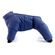 imageUrl_1