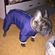 imageUrl_6